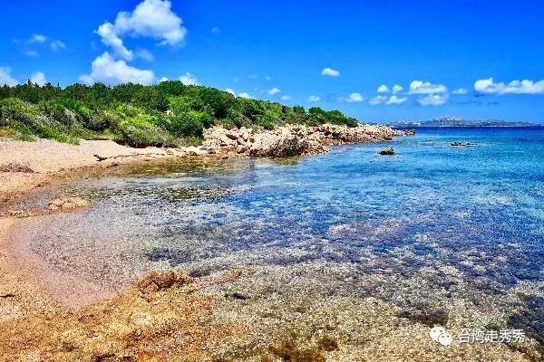 黄河流域水鸟栖息地保护仍有空缺,专家建议:推动完善体系建设